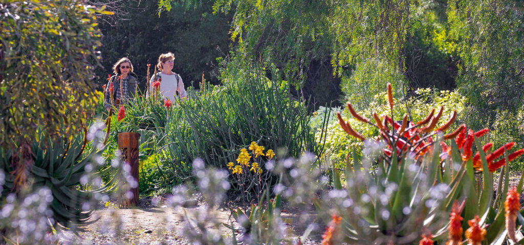 Once a Landfill, South Coast Botanic Garden Has Grown into One of the ...